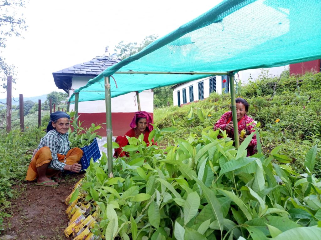 nepali women on farm